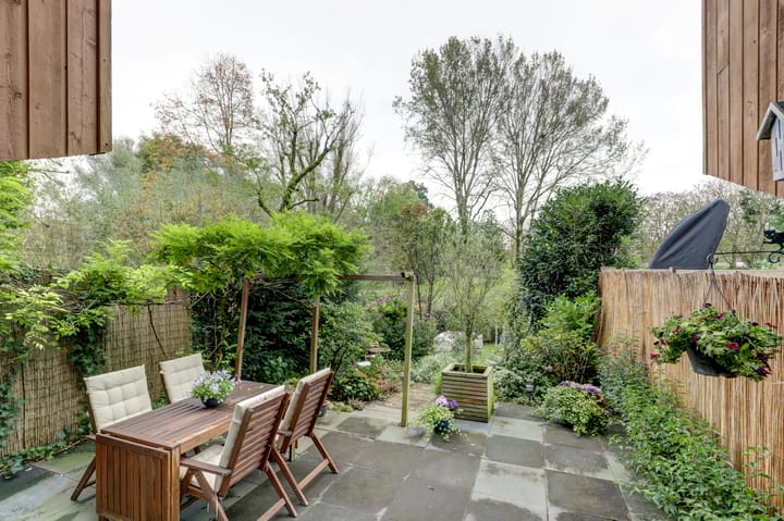 Foto 5 van Sierduif 45