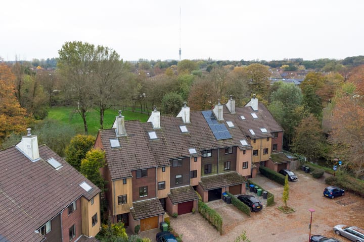 Foto 6 van Sierduif 45