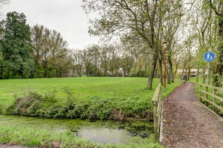 Foto 7 van Sierduif 45