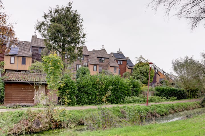 Foto 8 van Sierduif 45