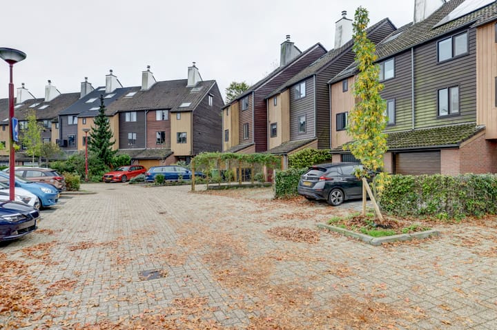 Foto 9 van Sierduif 45