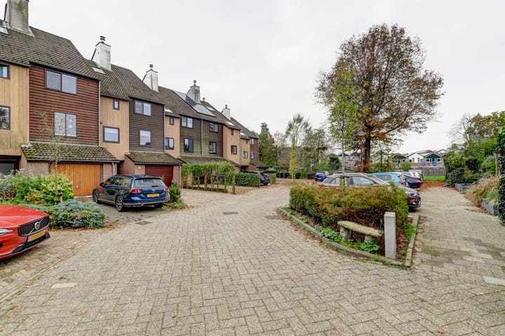 Foto 10 van Sierduif 45