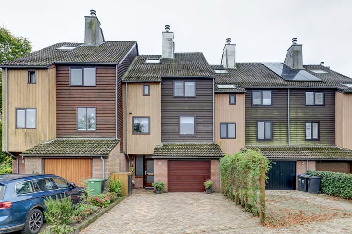 Foto 11 van Sierduif 45