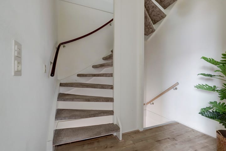 Foto 15 van Sierduif 45