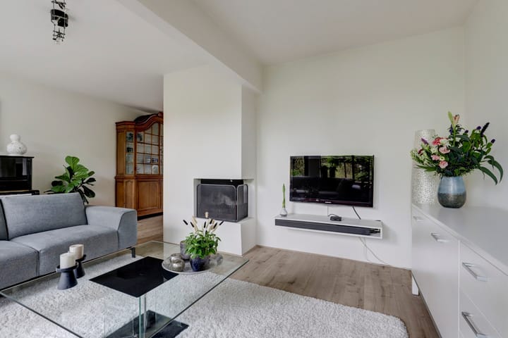 Foto 17 van Sierduif 45