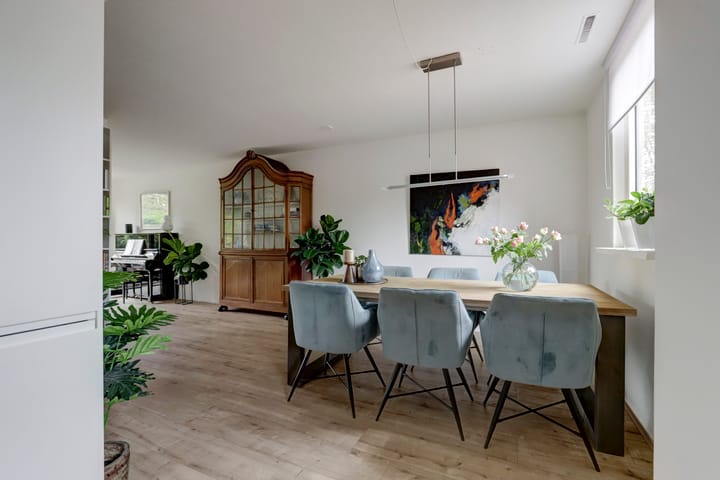 Foto 22 van Sierduif 45