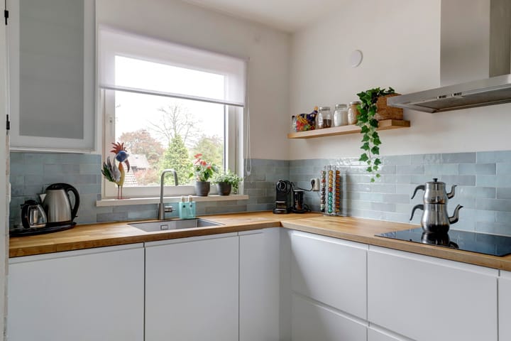 Foto 25 van Sierduif 45