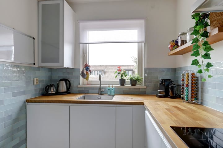 Foto 26 van Sierduif 45