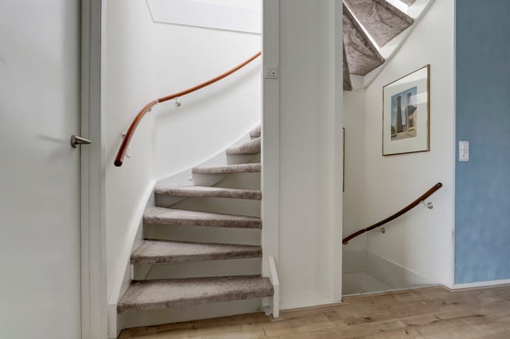 Foto 28 van Sierduif 45