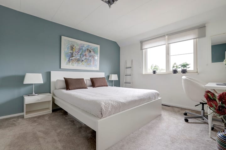 Foto 29 van Sierduif 45