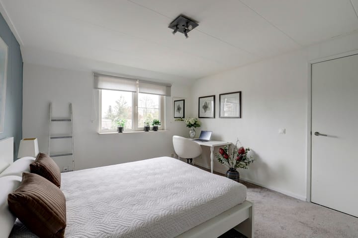 Foto 30 van Sierduif 45