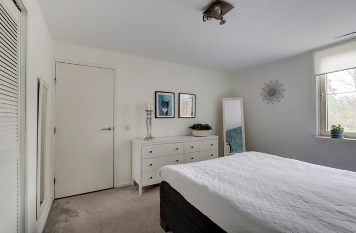 Foto 32 van Sierduif 45