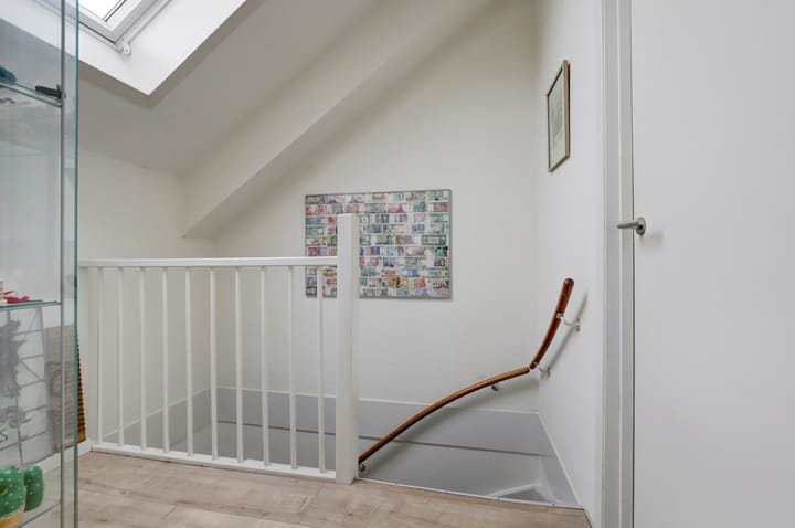 Foto 35 van Sierduif 45