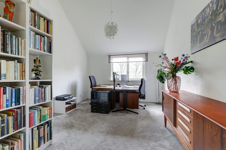 Foto 36 van Sierduif 45