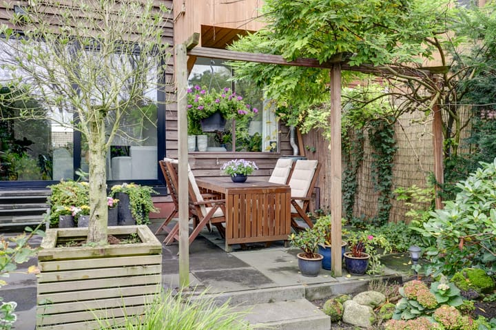 Foto 42 van Sierduif 45