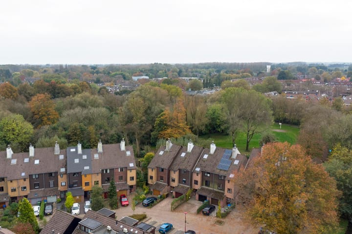 Foto 45 van Sierduif 45