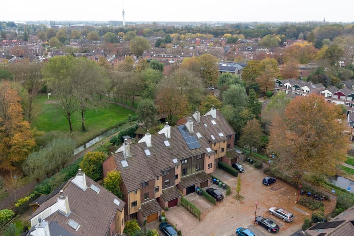 Foto 46 van Sierduif 45