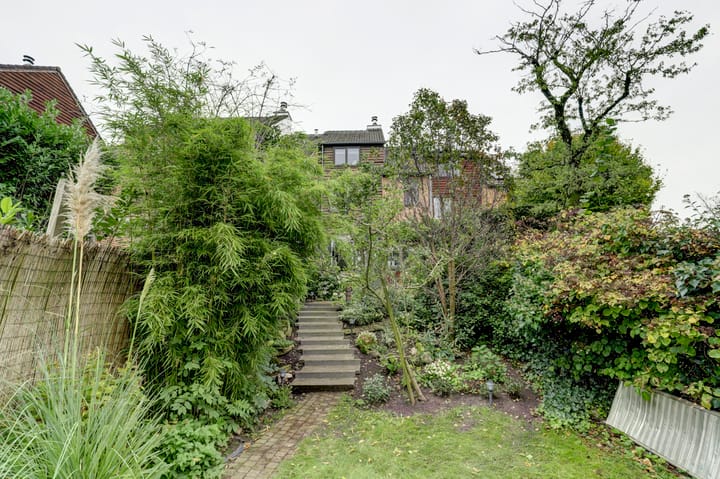 Foto 47 van Sierduif 45