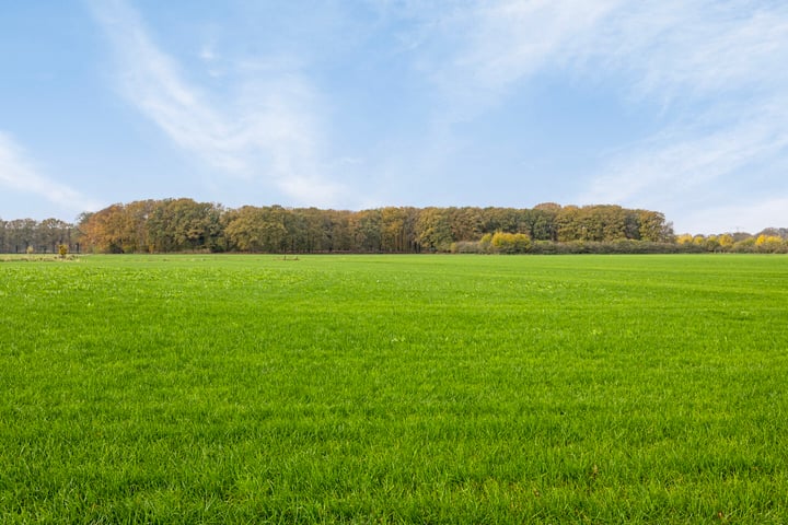 Bekijk foto 76 van Lageweg 12