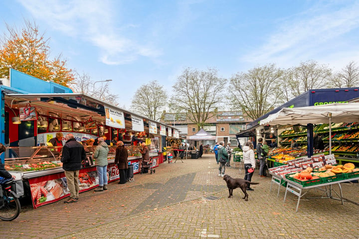 Bekijk foto 49 van Nassauplein 1