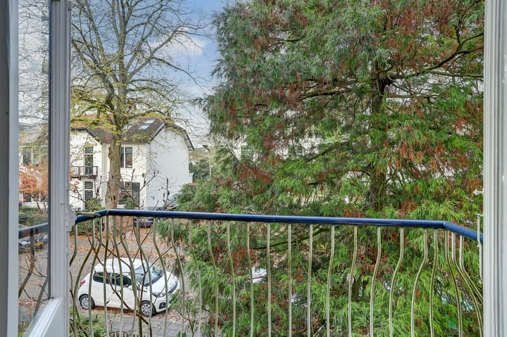 Photo 57 of Pauw van Wieldrechtlaan 12