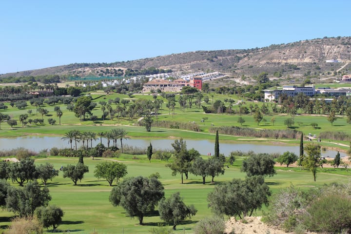 Foto 2 van C. Benferri