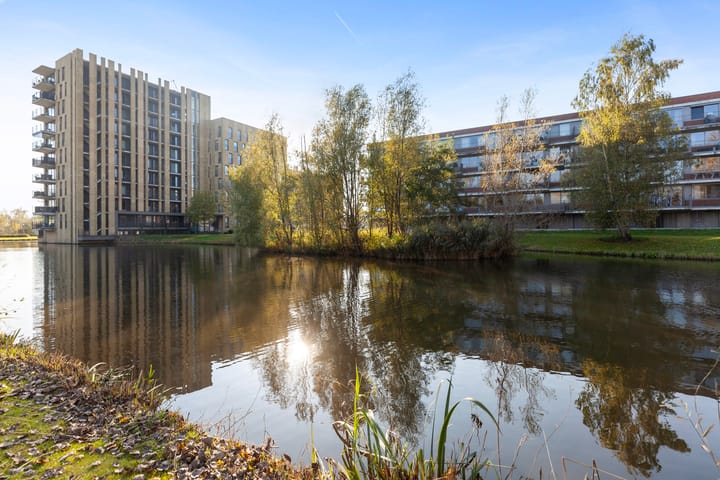 Foto 5 van Johan de Wittstraat 141