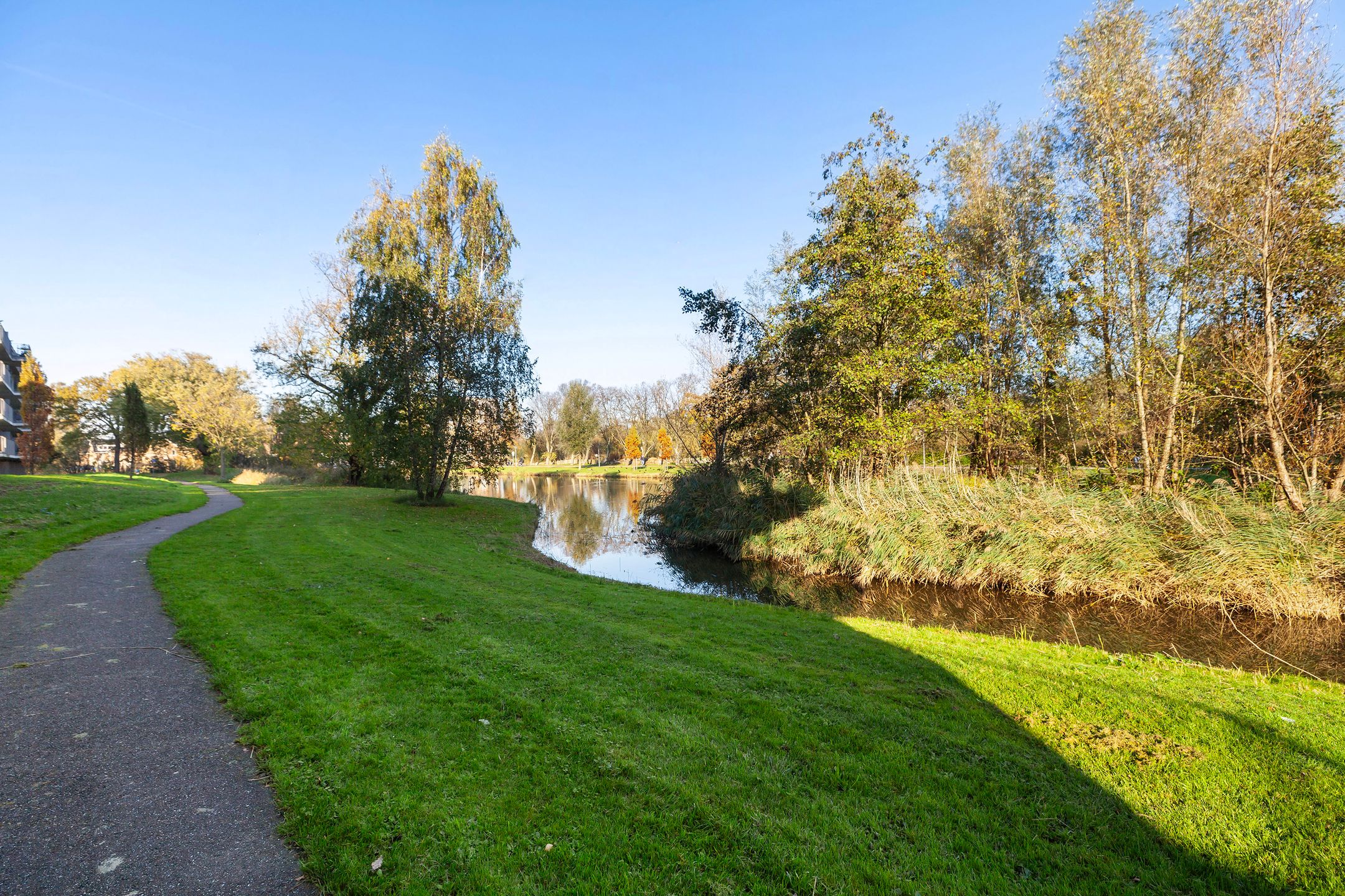 Photo 36 of Johan de Wittstraat 141