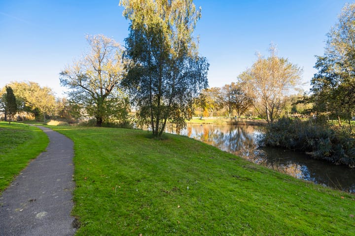 Foto 37 van Johan de Wittstraat 141