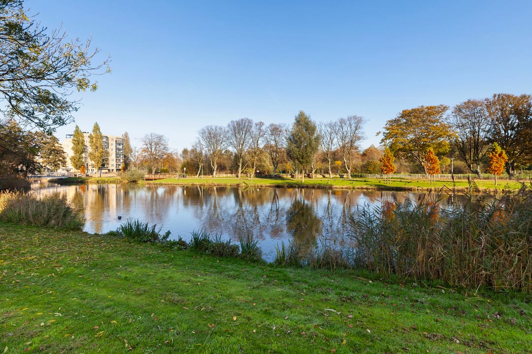 Photo 38 of Johan de Wittstraat 141