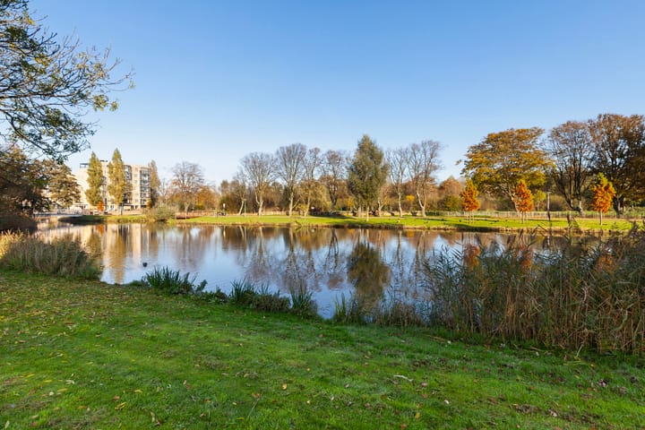 Foto 38 van Johan de Wittstraat 141