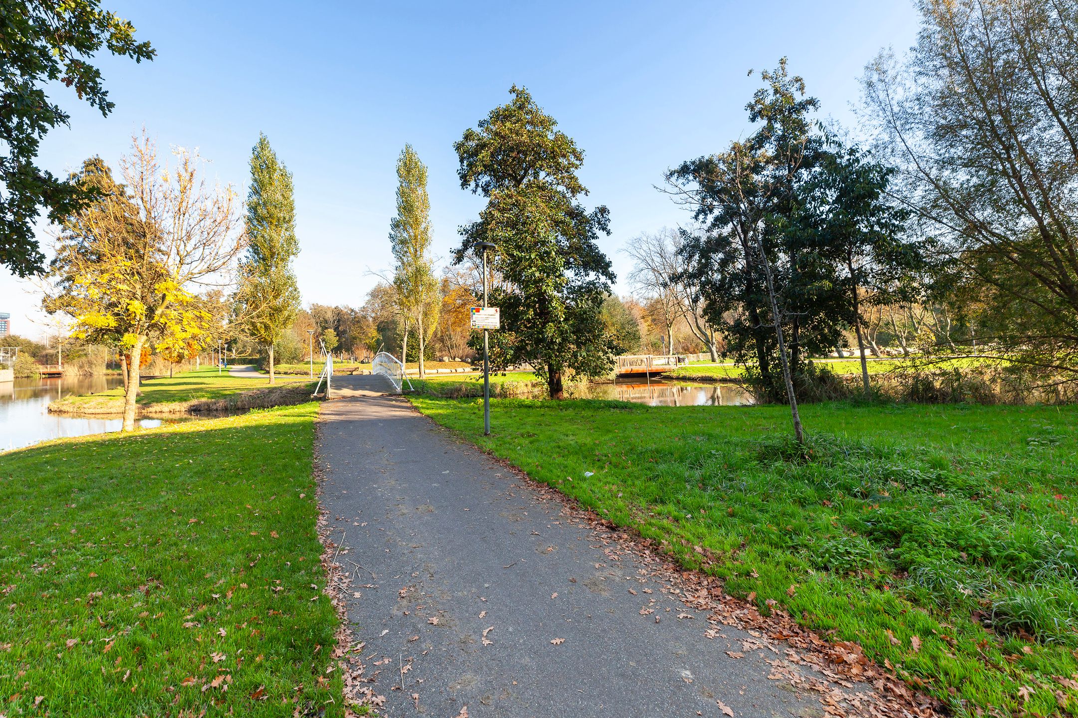 Photo 39 of Johan de Wittstraat 141