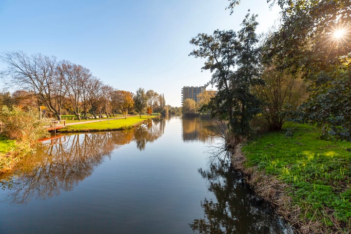 Foto 40 van Johan de Wittstraat 141