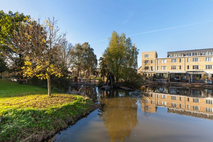 Foto 41 van Johan de Wittstraat 141