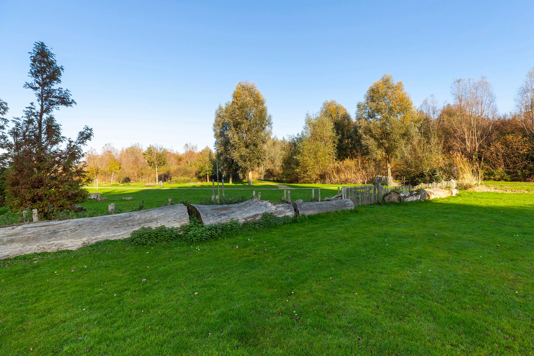 Photo 42 of Johan de Wittstraat 141