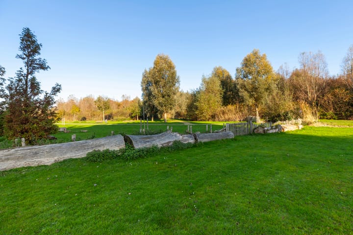 Foto 42 van Johan de Wittstraat 141