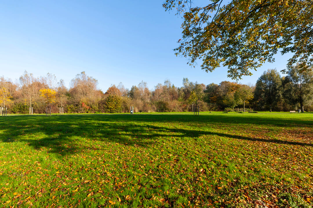 Photo 43 of Johan de Wittstraat 141