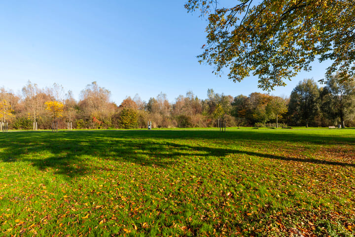 Foto 43 van Johan de Wittstraat 141