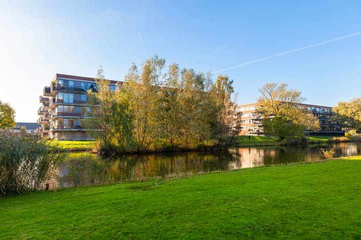 Foto 44 van Johan de Wittstraat 141