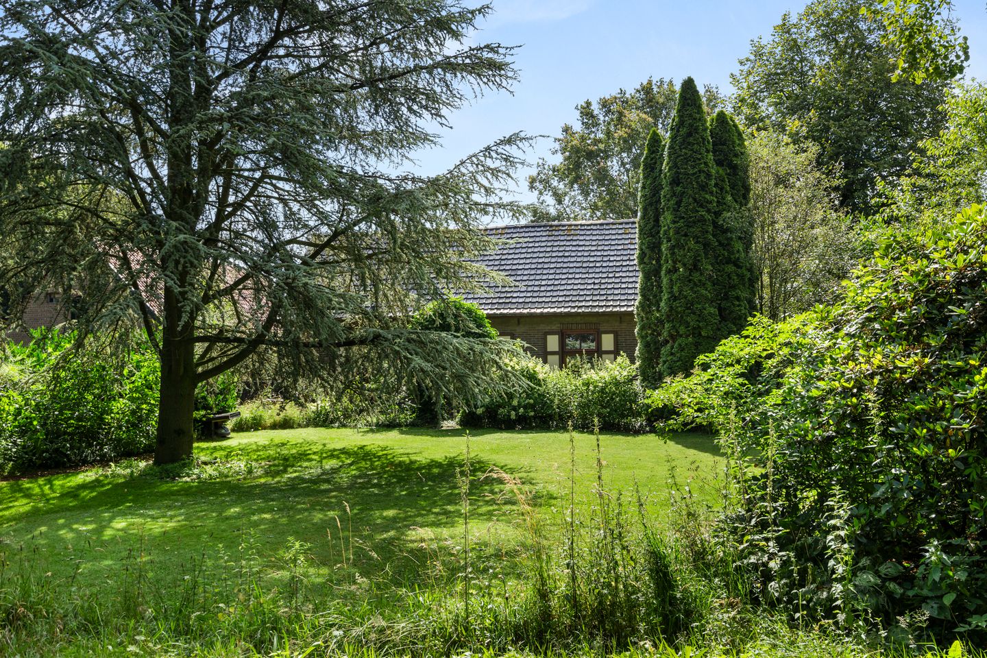 Photo 50 of Damakkerweg 6