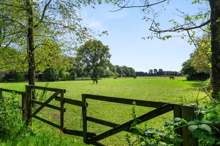 Foto 55 van Damakkerweg 6