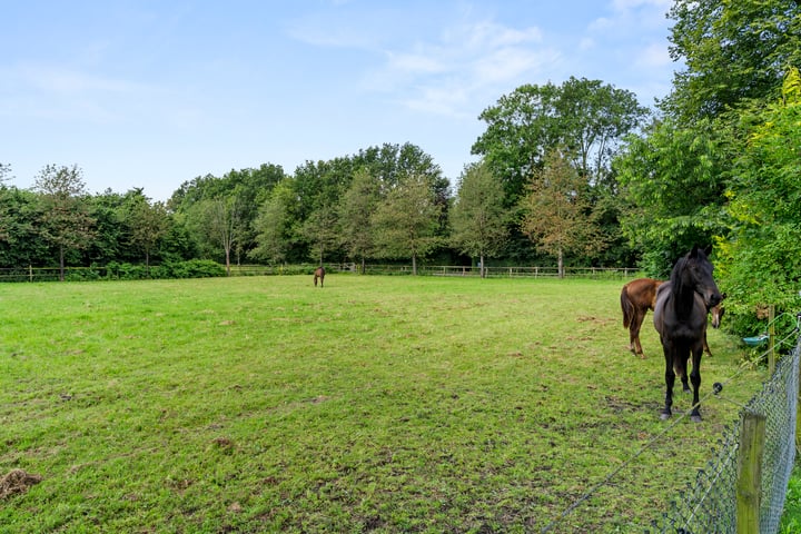 Bekijk foto 58 van Damakkerweg 6