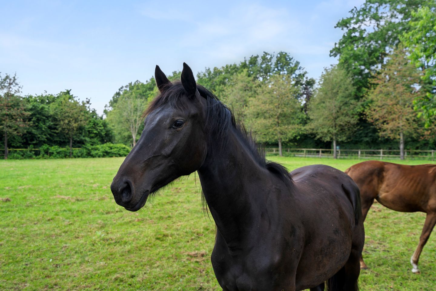 Photo 59 of Damakkerweg 6