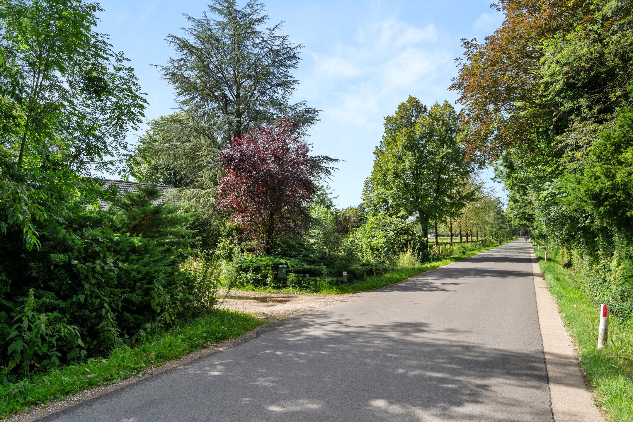 Photo 60 of Damakkerweg 6