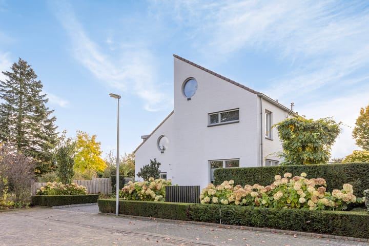 Foto 58 van Zuiderpark 26