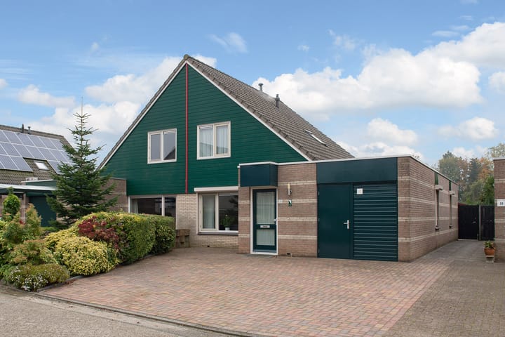 undefined main image
