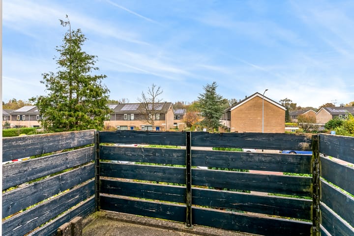 Foto 25 van Lijndraaier 107