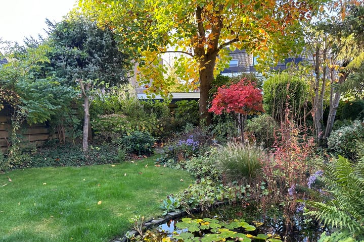 Foto 29 van Zwanensingel 23