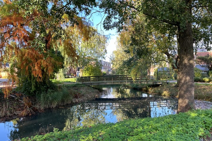 Foto 31 van Zwanensingel 23