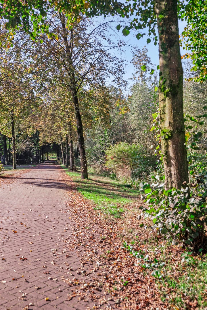 Foto 38 van Woutersstraat 11